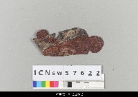 藏品(中國湖北皮影戲盔帽)的圖片